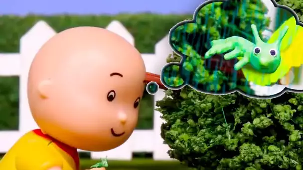 Caillou et les Insectes | Caillou en Français