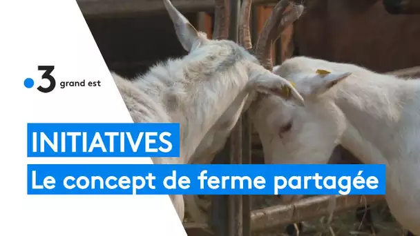 Connaissez-vous le concept de ferme partagée ?