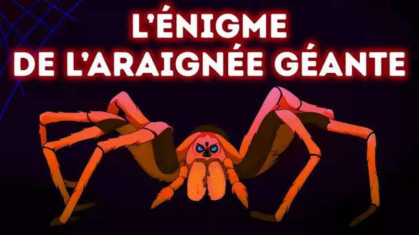 Résous l’Énigme de l’Araignée et Prouve que tu es Plus Intelligent que la Plupart des Gens