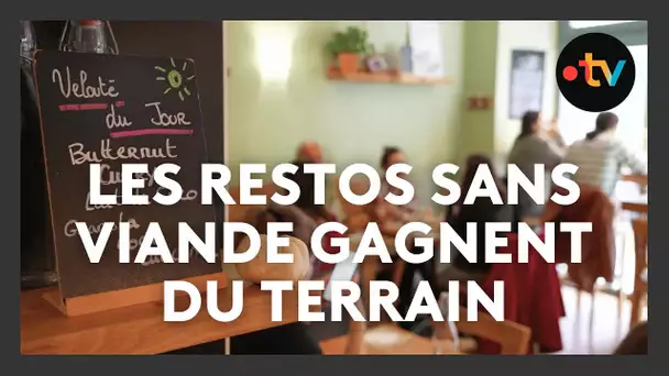 "Il y a autre chose que la viande en Limousin !"