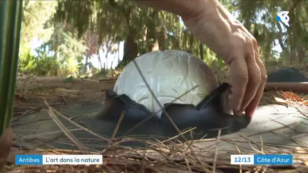 Antibes : le collectif Nomade expose au jardin Thuret