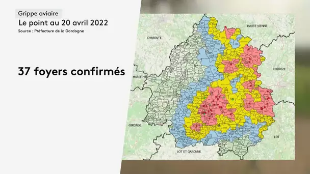 Grippe aviaire : l'épidémie progresse en Dordogne