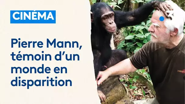 Le cinéaste Pierre Mann filme la beauté du monde et des animaux pour tenter de les sauver