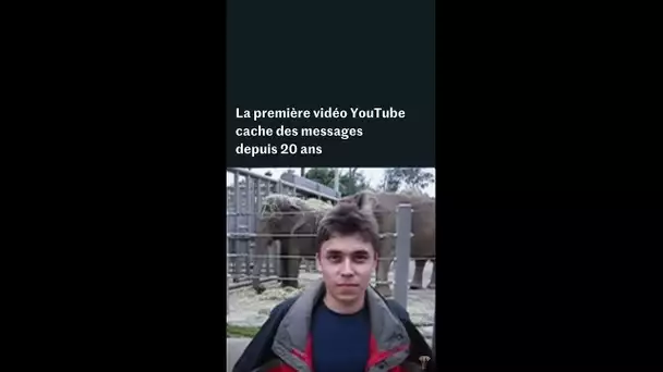 Youtube : la première vidéo publiée cache des messages depuis 20 ans