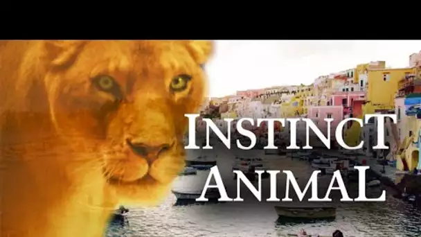INSTINCT ANIMAL - Film complet en français HD