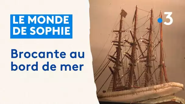 Le monde de Sophie : Brocante de bord de mer