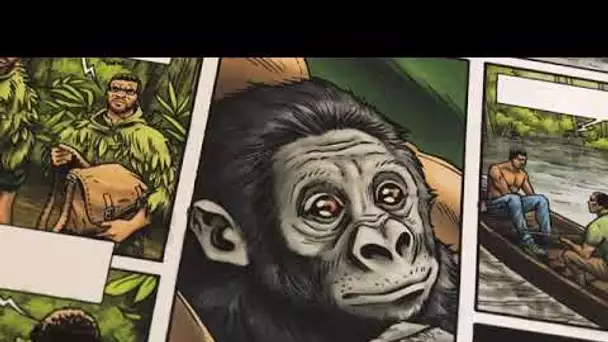 Gorilles dans la bulle : l'histoire de deux gorilles d'un zoo de retour en 'Afrique racontée en BD