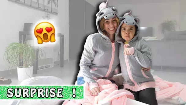 SURPRISE ET LICORNES en folie / Licorne Family Vlog