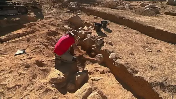 Pyrénées-Orientales : portes ouvertes sur un site archéologique vieux de 1500 ans