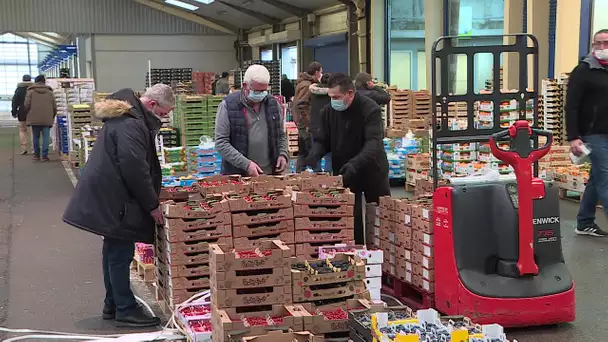 Bilan mitigé pour les ventes de fin d'année au Marché d'intérêt national de Rouen