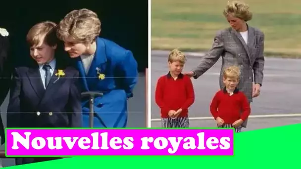 Le prince William est tombé dans les escaliers après la farce de la princesse Diana