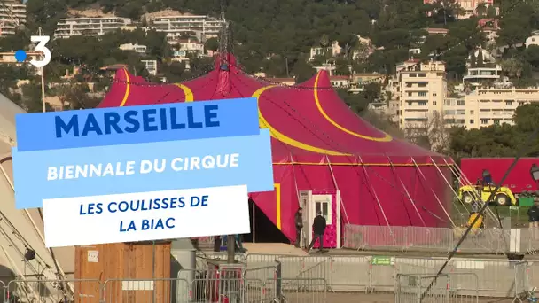 Biennale des arts du cirque à Marseille : le chapiteau de la BIAC