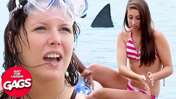 Mannequin attaquée par un requin! | Juste Pour Rire Les Gags