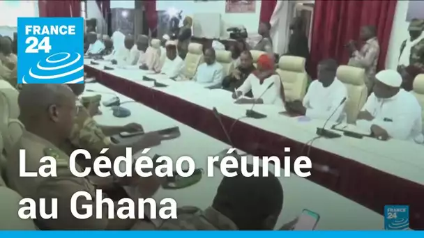 La Cédéao réunie au Ghana pour trouver une réponse au coup d'État au Niger • FRANCE 24