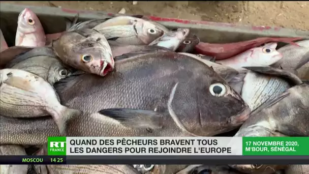 Quand des pêcheurs bravent tous les dangers pour rejoindre l’Europe
