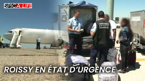 Roissy en état d'urgence : gendarmerie en action