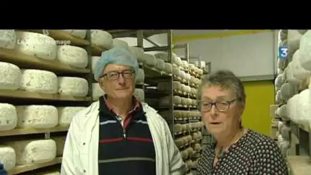 Breizh Fromage : le Bleu des Darley (1/4)