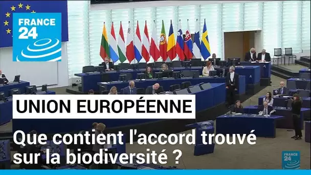 L'UE parvient à un accord sur un texte clé sur la biodiversité • FRANCE 24