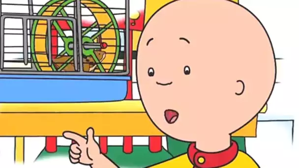 Caillou en Français - Caillou et le Hamster | dessin animé en francais | conte pour enfant