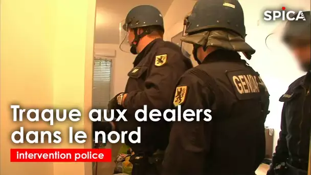 Trafic de stups dans le nord : la traque aux dealers