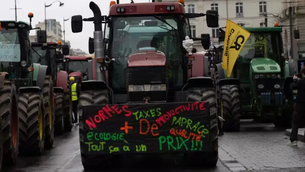 "Plus rien ne nous arrêtera" : les agriculteurs "déterminés" à bloquer Paris lundi