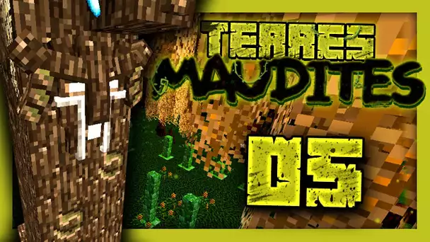TERRES MAUDITES : Le BOSS de l'ARBRE SACRÉ ! #05 (Minecraft Moddé)