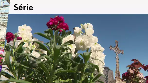 Covid-19, un an après : rencontre avec Franck Nivault horticulteur dans le Loir-et-Cher