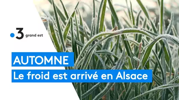 Automne : le froid est arrivé en Alsace