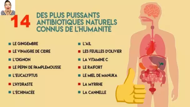 14 des plus puissants antibiotiques naturels connus de l’humanité