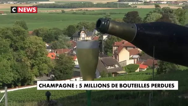 Champagne : des millions de bouteilles perdues