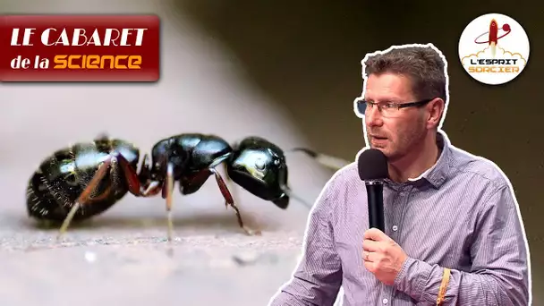 S'inspirer des insectes pour vivre mieux | Christophe Bouget - Cabaret de la Science