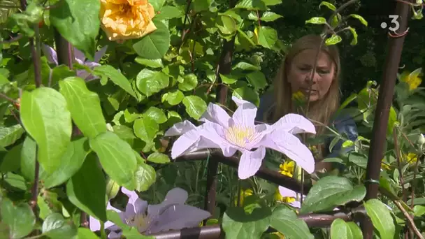 Mon jardin en Normandie - épisode 11 : le jardin retiré, raconté par Annie Blanchais