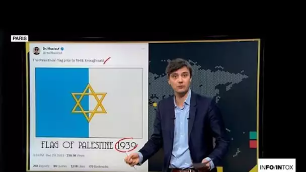 L'étoile de David sur le drapeau de la Palestine mandataire dès 1939? Prudence ! • FRANCE 24