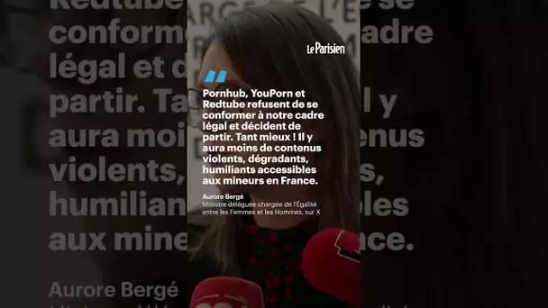 YouPorn, Redtube et Pornhub suspendus à partir de mercredi