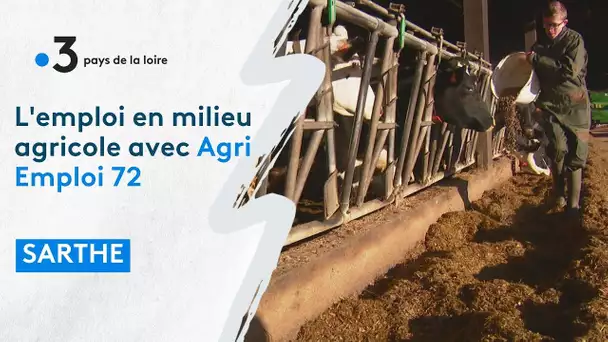 Sarthe : Agri Emploi 72, une solution pour l'emploi en milieu agricole