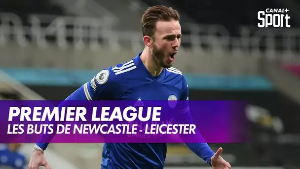 Les buts de Newcastle - Leicester