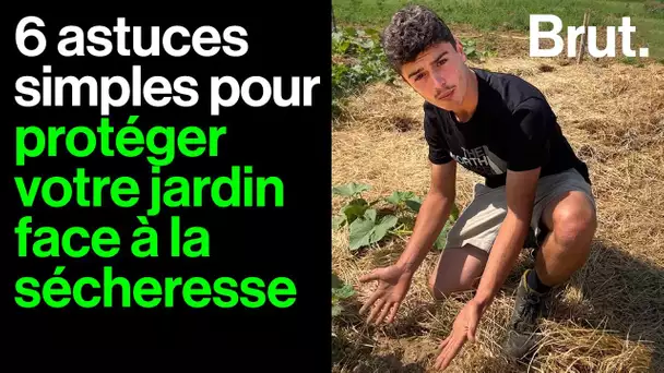 Goran le permaculteur donne ses astuces pour protéger votre jardin face à la sécheresse