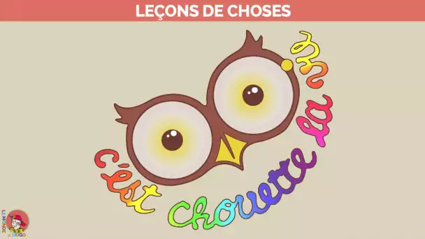 Le Monde d'Hugo - Leçons de choses - C'est chouette la vie