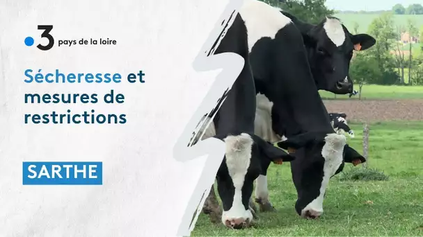Sécheresse en Sarthe et mesures de restrictions