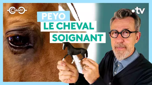 🐴 Quand les chevaux nous soignent