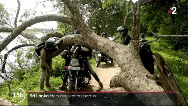 En Royal Enfield, sur les routes du Sri Lanka épisode 2/5