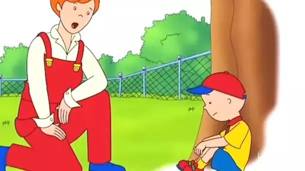 Caillou à l'École | Caillou en Français