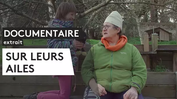 DOCUMENTAIRE - Sur leurs ailes [EXTRAIT]