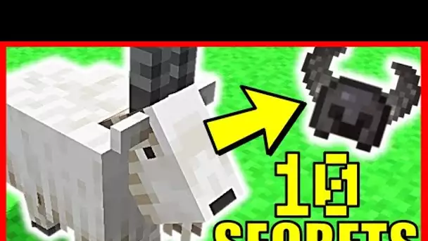 10 *NOUVEAU* SECRETS SUR LA CHEVRE MINECRAFT 1.17 !