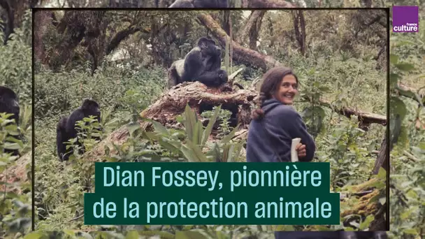 Dian Fossey, pionnière de la protection animale