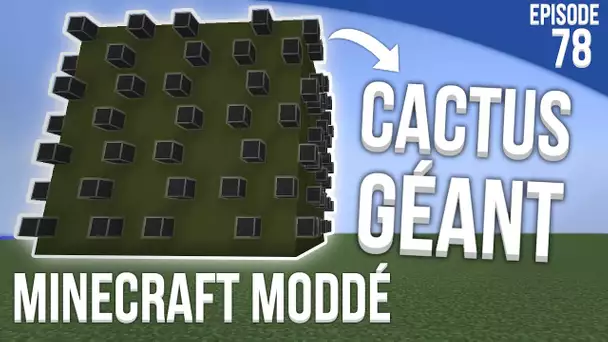 LE CACTUS GÉANT ! | Minecraft Moddé S3 | Episode 78