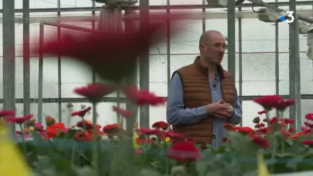 Entretien avec Guillaume Froger - Horticulteur dans le Maine-et-Loire