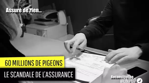 60 millons de Pigeons : assuré de rien