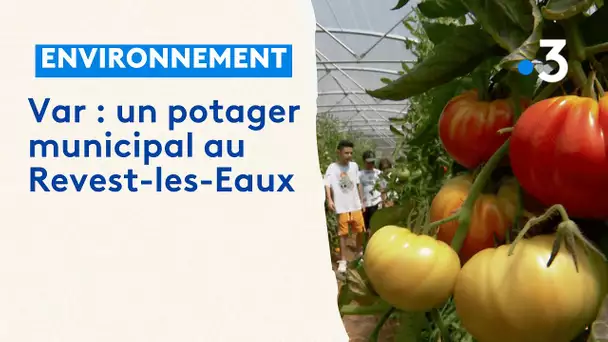 Var : un potager municipal au Revest-les-Eaux