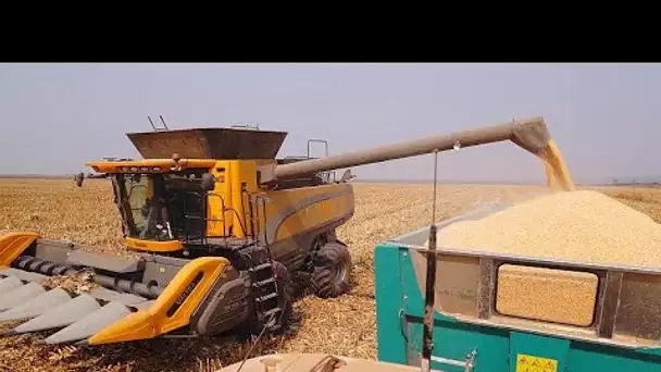 Angola : cultiver son maïs dans la province de Malanje, quel potentiel ?